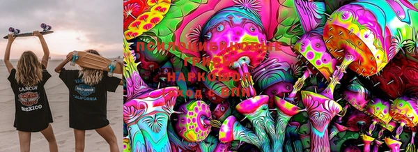 стафф Алзамай